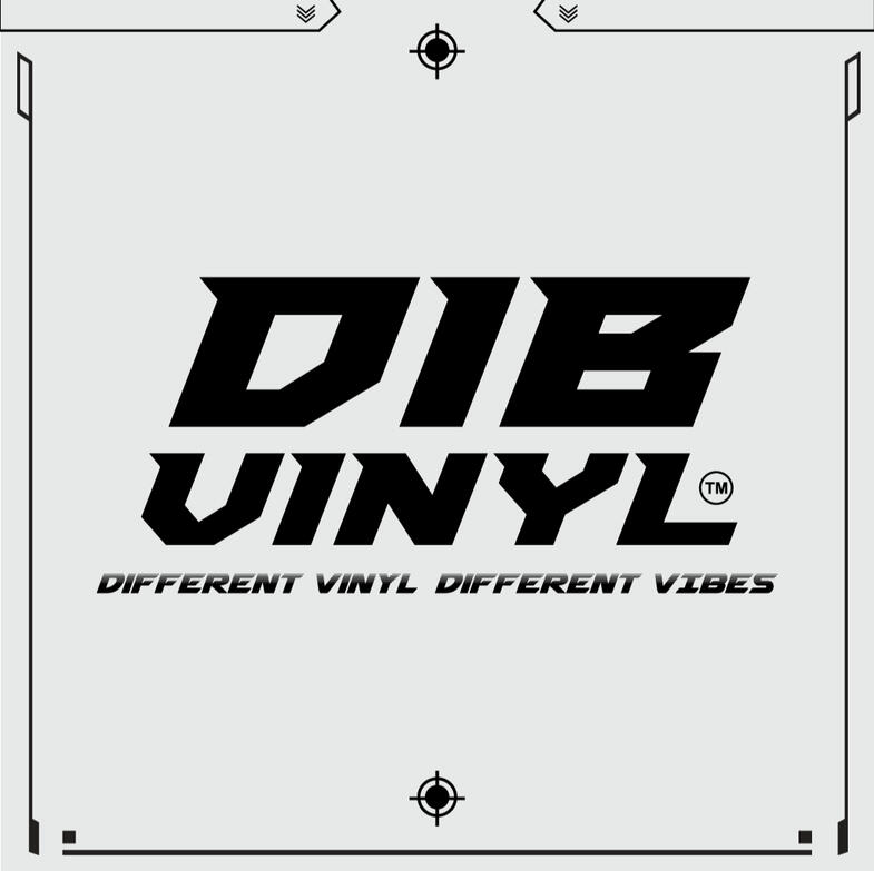 Product Concept Design - DIB VINYL (Vinyl Cover)
